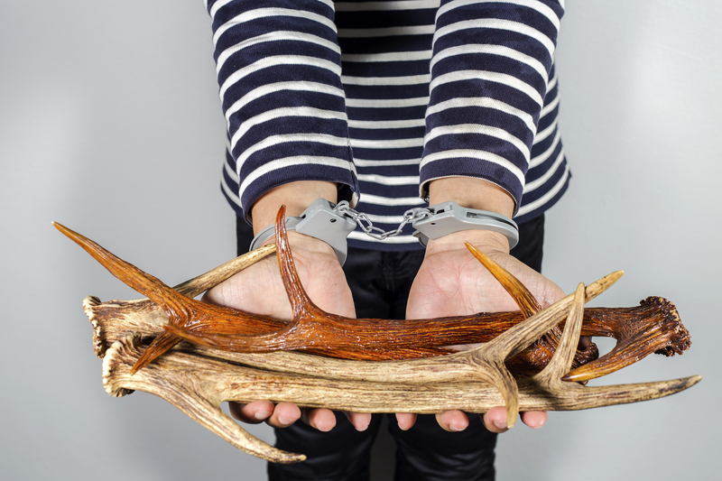 Take Action for a Greener Planet: Lower Your Plastic Use