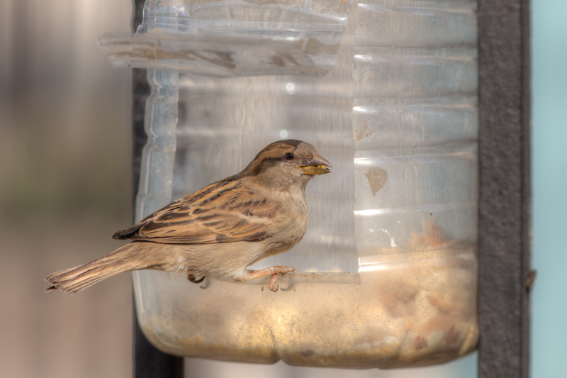 The Chronicle of Hard Rubbish: Disposal Techniques Defined